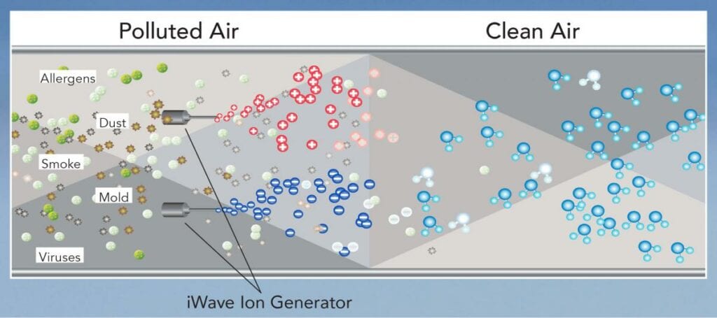 iWave-R